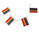Rainbow small Flags Bunting